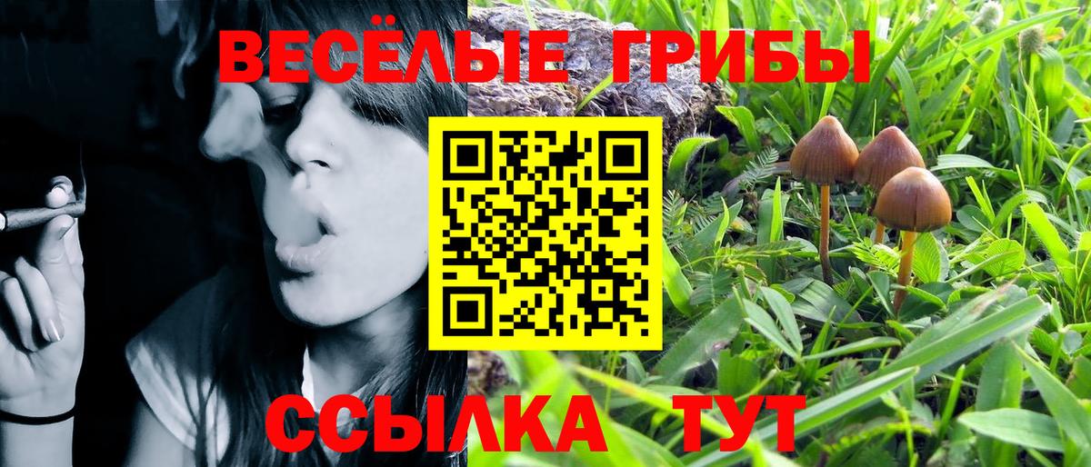 Героин Вышний Волочёк