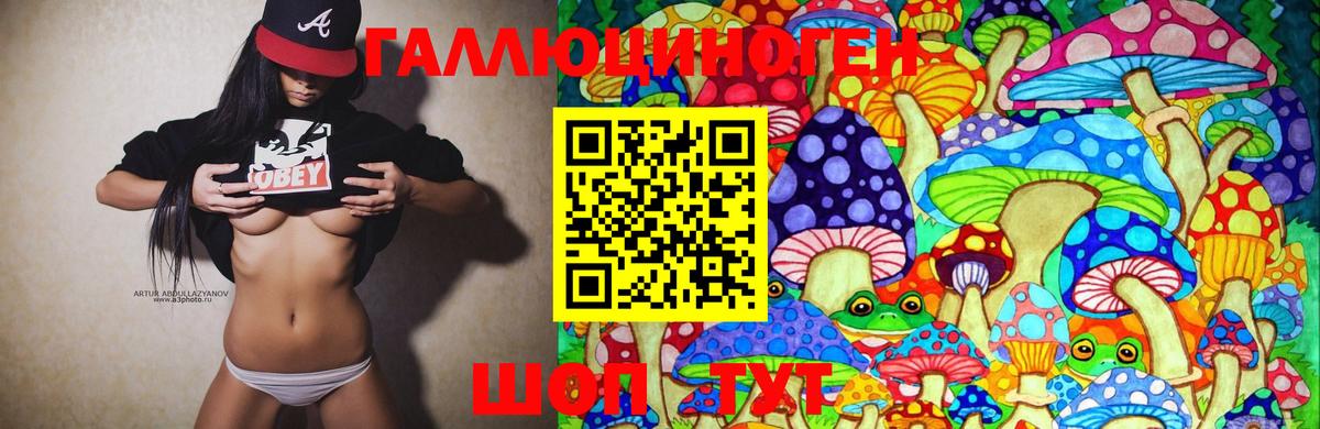Галлюциногенные грибы GOLDEN TEACHER Вышний Волочёк