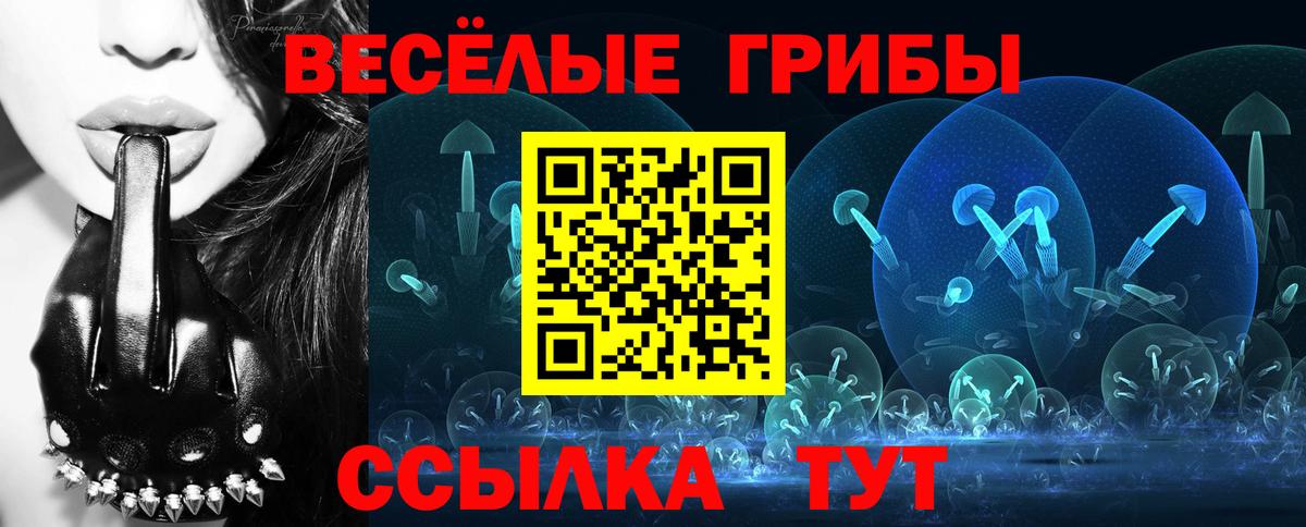 Псилоцибиновые грибы мицелий  Вход с VPN  купить   Вышний Волочёк  Псилоцибиновые грибы мицелий 